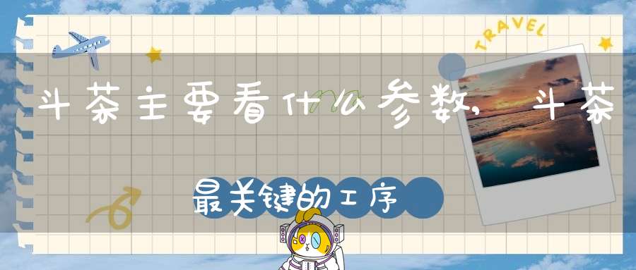 斗茶主要看什么参数,斗茶最关键的工序