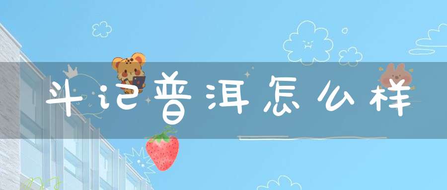斗记普洱怎么样