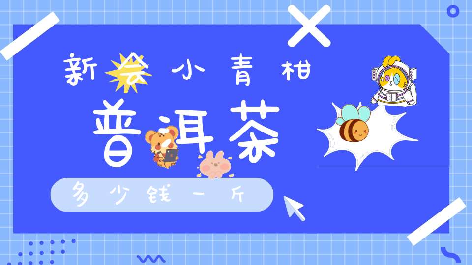 新会小青柑普洱茶多少钱一斤