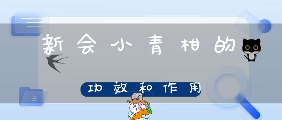 新会小青柑的功效和作用