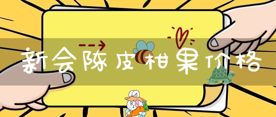 新会陈皮柑果价格