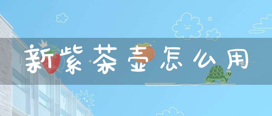 新紫茶壶怎么用