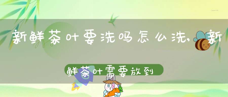 新鲜茶叶要洗吗怎么洗,新鲜茶叶需要放到冰箱里吗