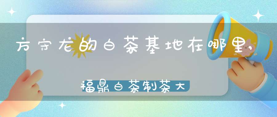 方守龙的白茶基地在哪里,福鼎白茶制茶大师方守龙