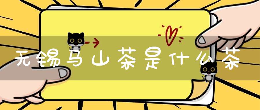 无锡马山茶是什么茶