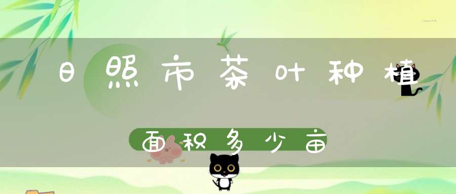 日照市茶叶种植面积多少亩