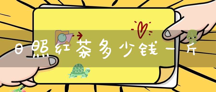 日照红茶多少钱一斤