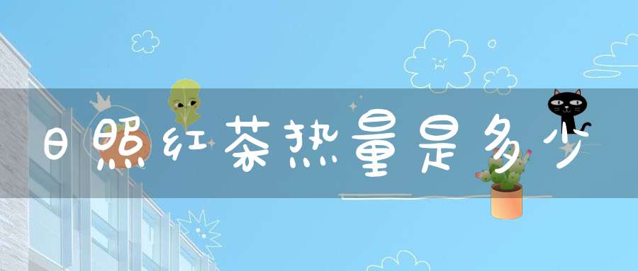日照红茶热量是多少