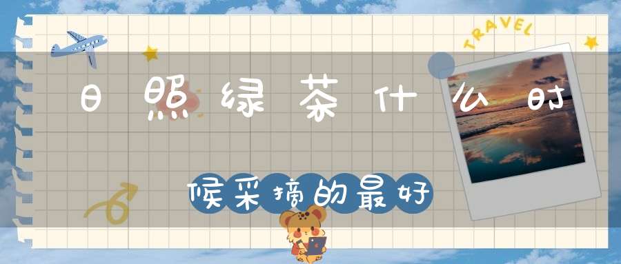 日照绿茶什么时候采摘的最好