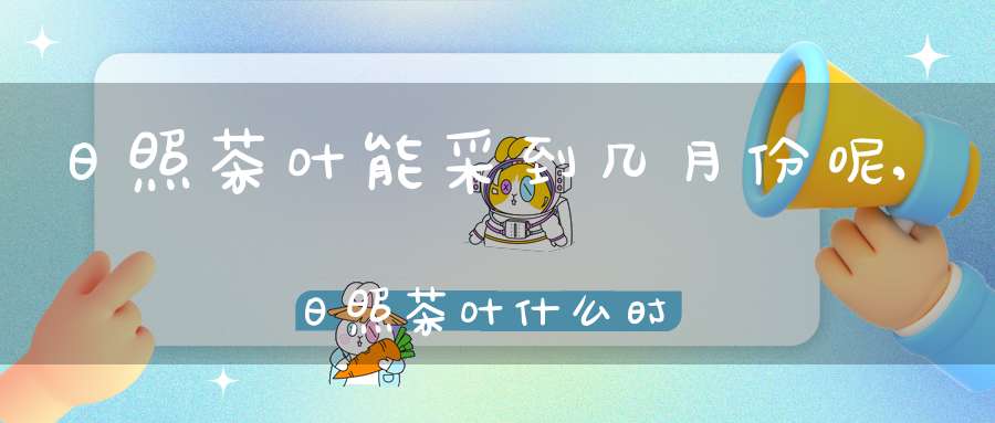 日照茶叶能采到几月份呢,日照茶叶什么时候采摘