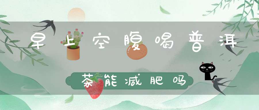 早上空腹喝普洱茶能减肥吗