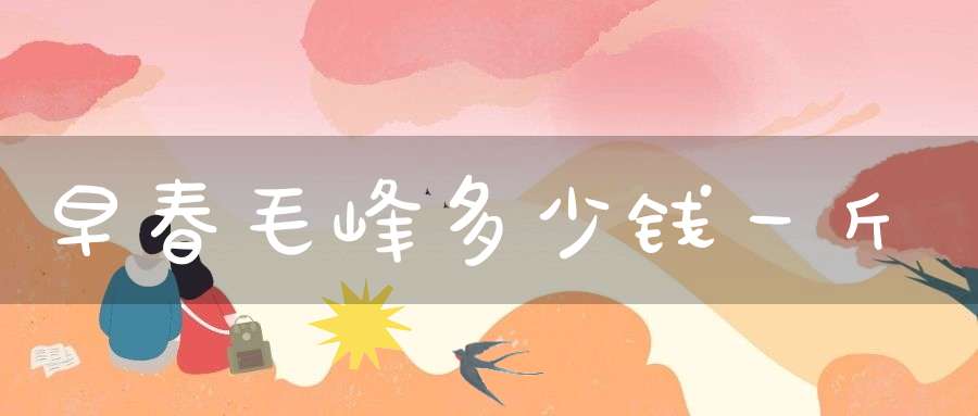 早春毛峰多少钱一斤