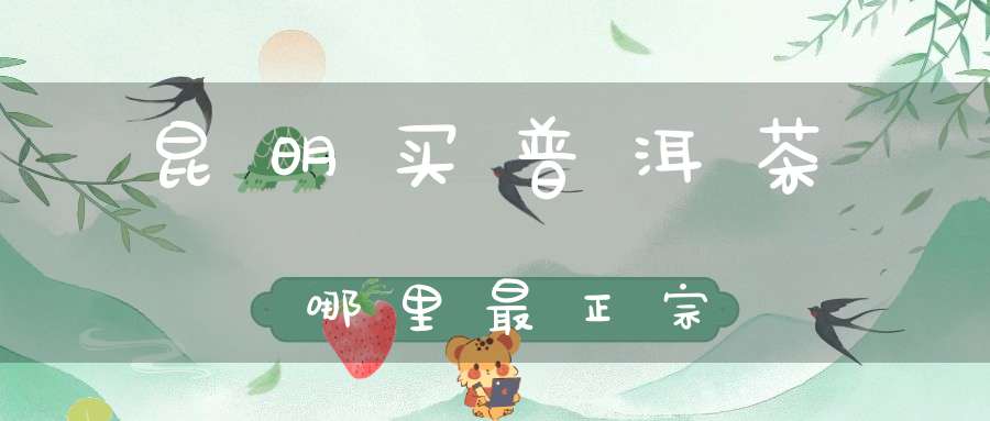 昆明买普洱茶哪里最正宗?