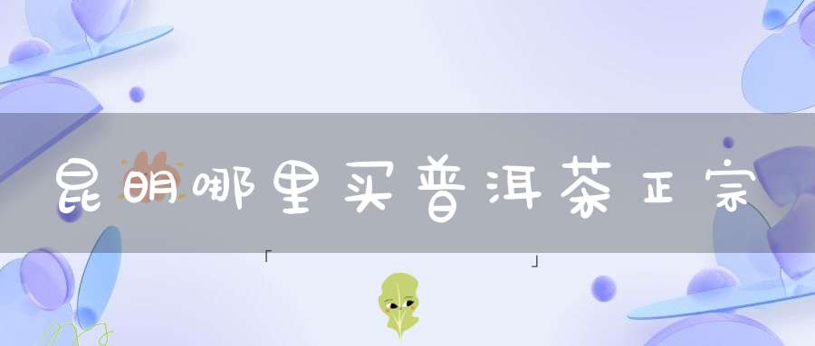 昆明哪里买普洱茶正宗