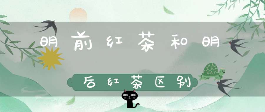 明前红茶和明后红茶区别