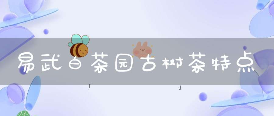 易武白茶园古树茶特点