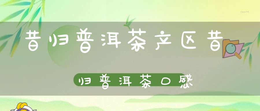 昔归普洱茶产区昔归普洱茶口感