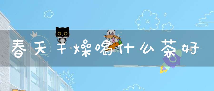 春天干燥喝什么茶好