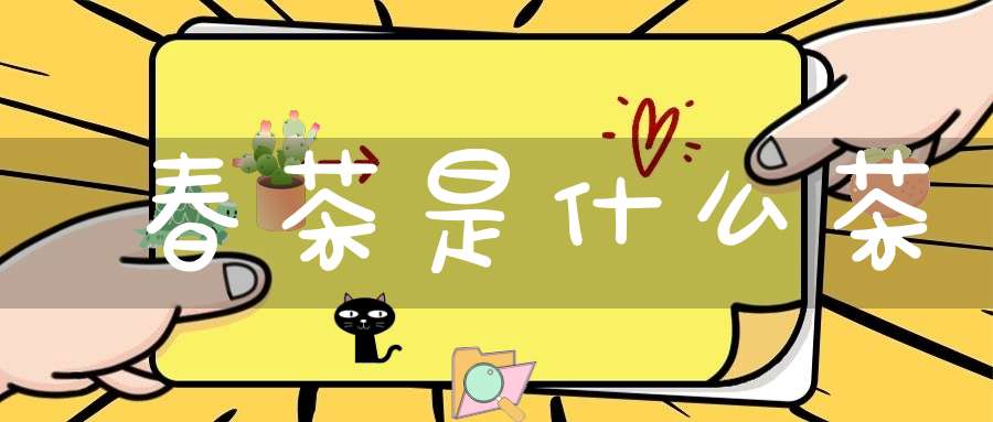 春茶是什么茶