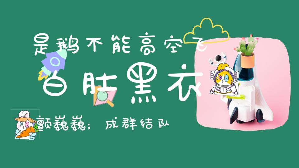 是鹅不能高空飞，白肚黑衣颤巍巍；成群结队翘首望，冰天雪地过得美。 （猜一动物）