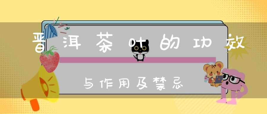 晋洱茶叶的功效与作用及禁忌