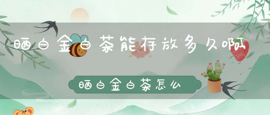 晒白金白茶能存放多久啊,晒白金白茶怎么喝
