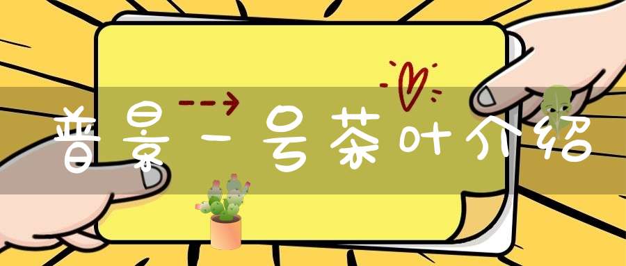 普景一号茶叶介绍
