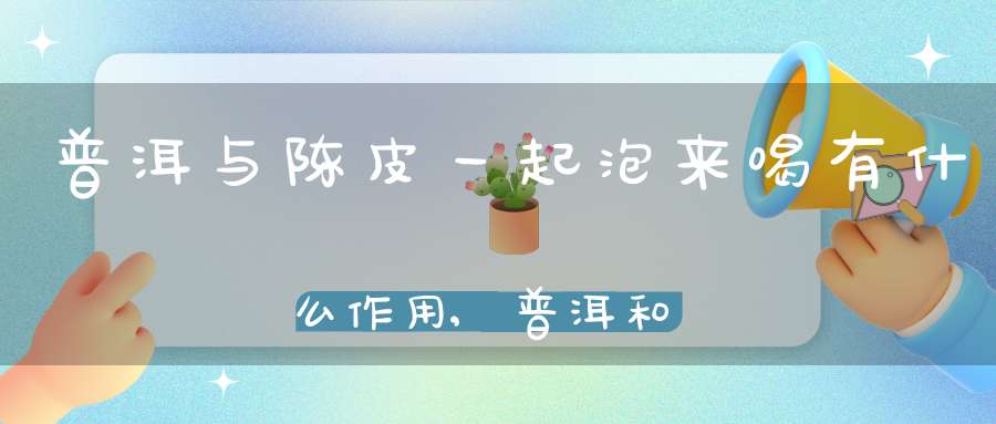 普洱与陈皮一起泡来喝有什么作用,普洱和陈皮泡水的功效