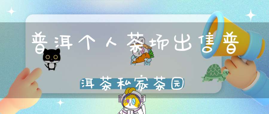 普洱个人茶场出售普洱茶私家茶园