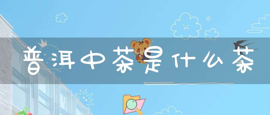 普洱中茶是什么茶