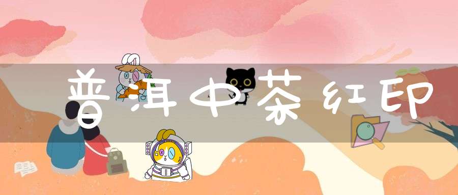 普洱中茶红印