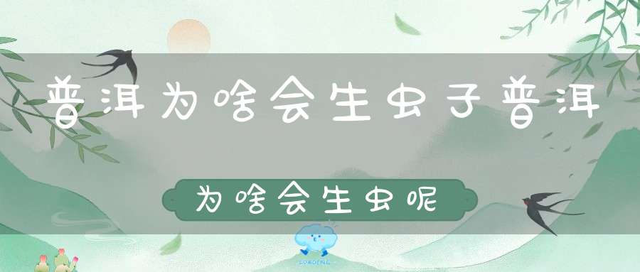 普洱为啥会生虫子普洱为啥会生虫呢