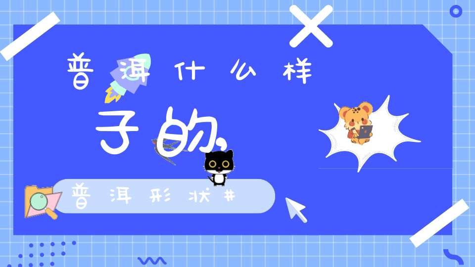 普洱什么样子的,普洱形状