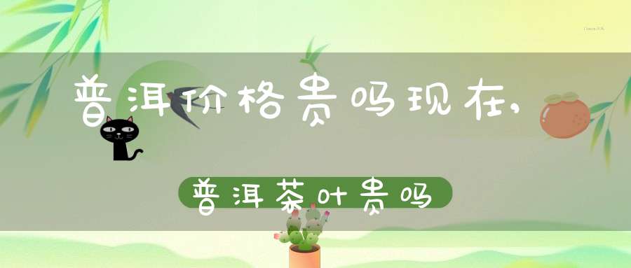 普洱价格贵吗现在,普洱茶叶贵吗