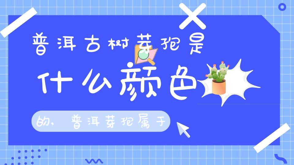 普洱古树芽孢是什么颜色的,普洱芽孢属于什么茶