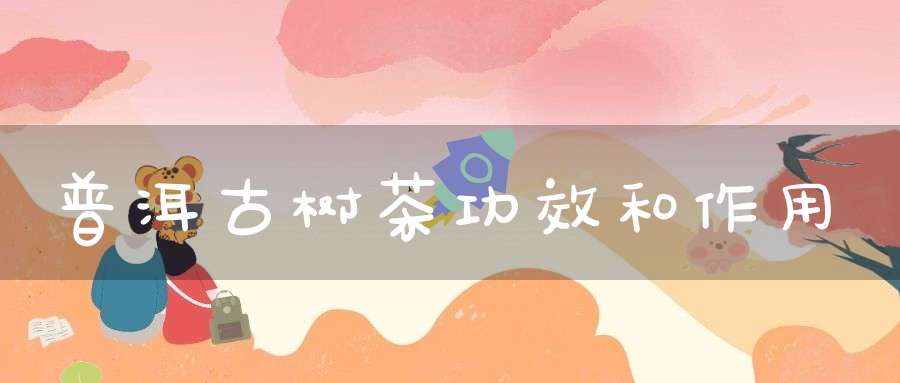普洱古树茶功效和作用