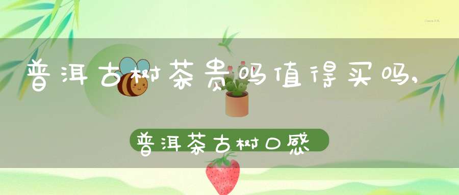 普洱古树茶贵吗值得买吗,普洱茶古树口感