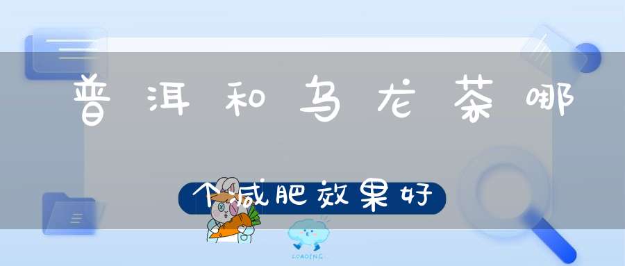 普洱和乌龙茶哪个减肥效果好
