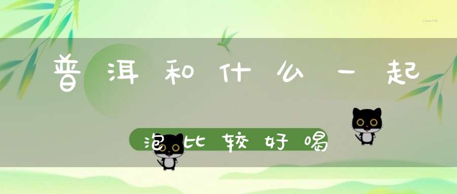 普洱和什么一起泡比较好喝