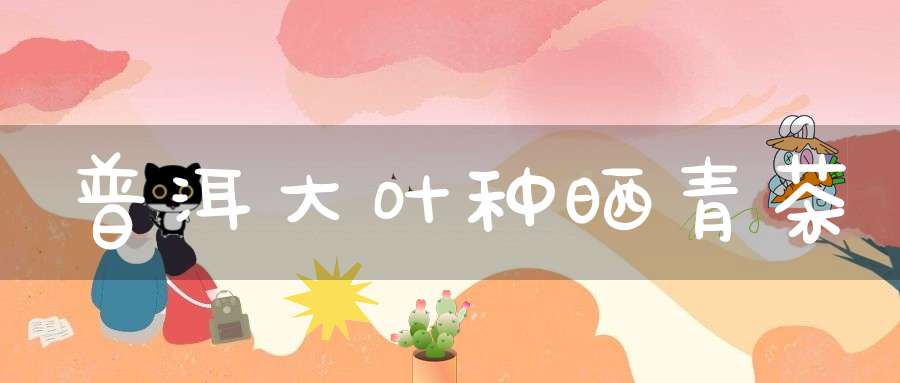 普洱大叶种晒青茶