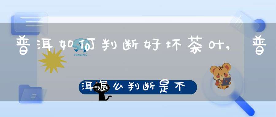 普洱如何判断好坏茶叶,普洱怎么判断是不是好茶