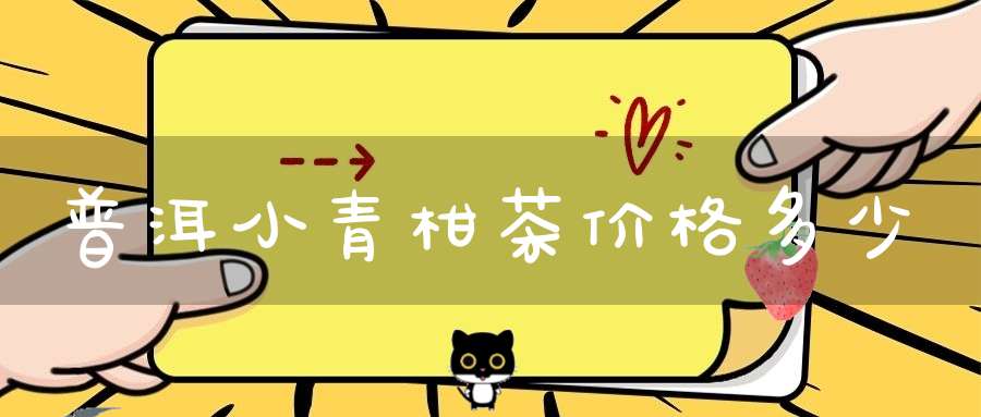 普洱小青柑茶价格多少