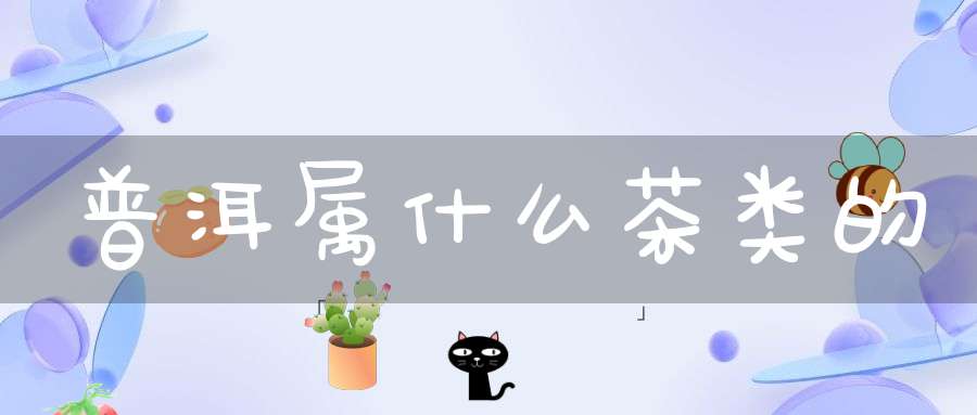 普洱属什么茶类的