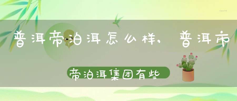 普洱帝泊洱怎么样,普洱市帝泊洱集团有些什么职位