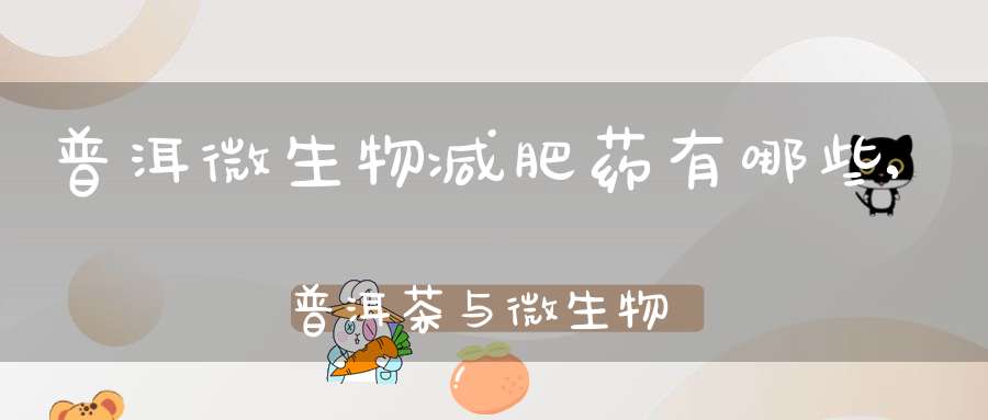 普洱微生物减肥药有哪些,普洱茶与微生物