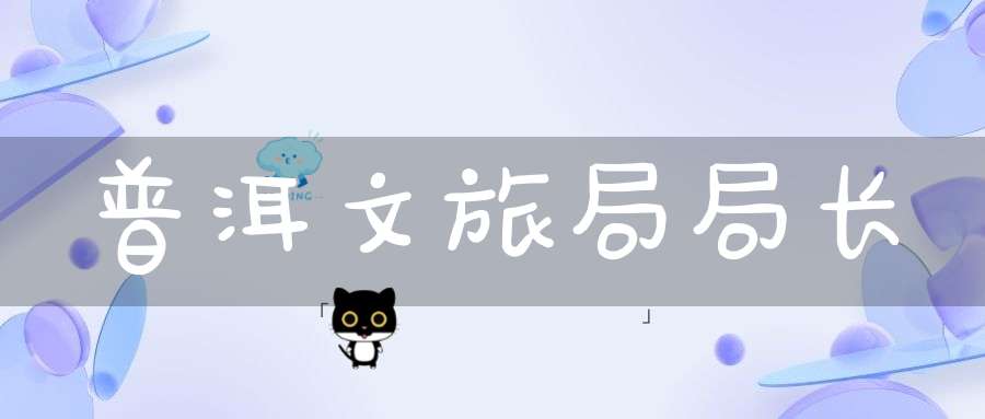 普洱文旅局局长