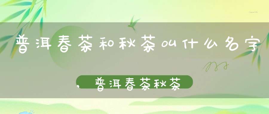 普洱春茶和秋茶叫什么名字,普洱春茶秋茶的区别