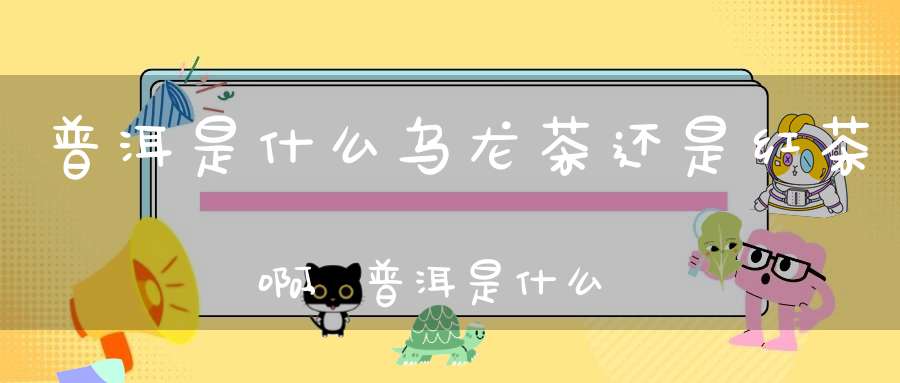 普洱是什么乌龙茶还是红茶啊,普洱是什么茶是红茶还是黑茶