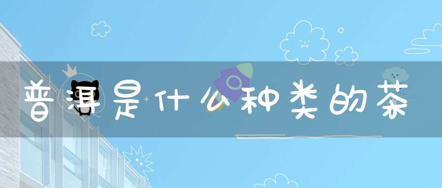 普洱是什么种类的茶