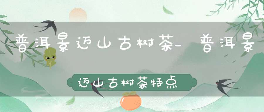 普洱景迈山古树茶_普洱景迈山古树茶特点